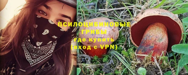 дживик Армянск